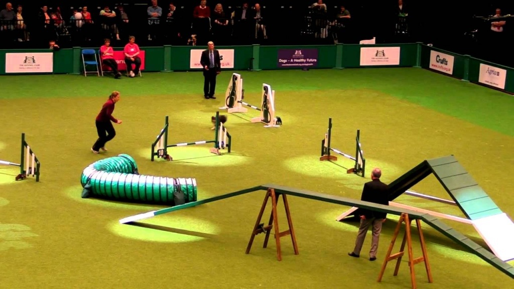 Agility.jpg